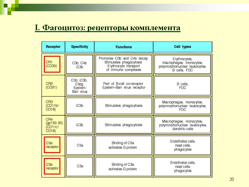 20 I. Фагоцитоз: рецепторы комплемента